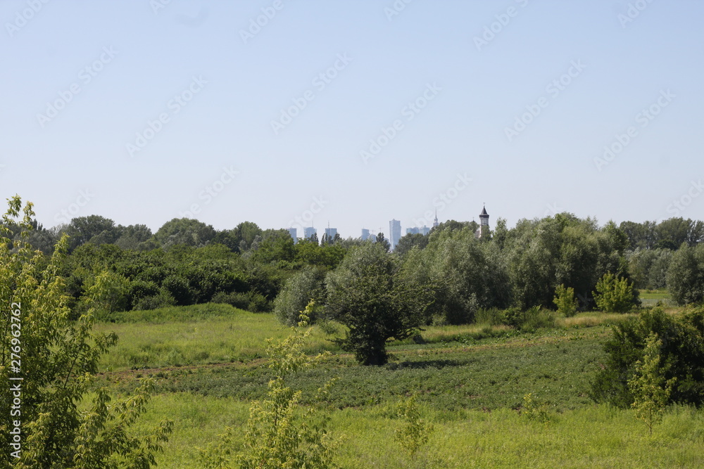 Panorama podmiejska zieleń