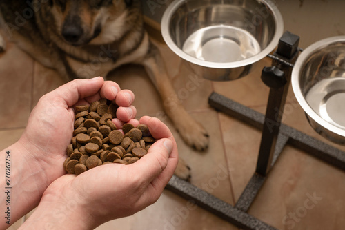 The dog is waiting for food at the bowl. The owner lovingly feed the dog. Good food.