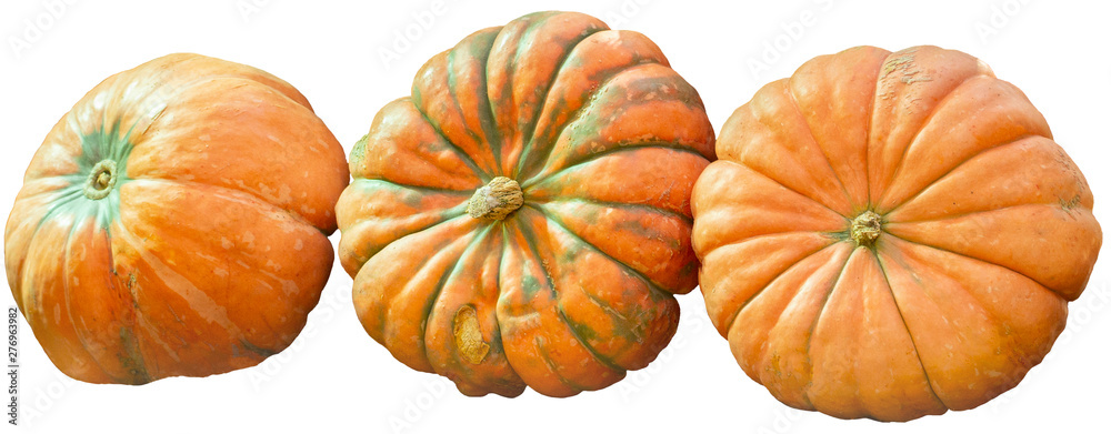 Three orange pumpkins isolated on white. Ripe pumpkin with green stripes harvesting halloween