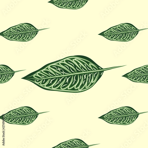 Seamless pattern with leaves of ficus benjamin on green background