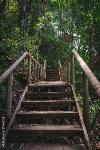Fototapeta Naklejka Na Ścianę i Meble -  Escaleras de Madera en Reserva Ecológica Parque Manuel Antonio