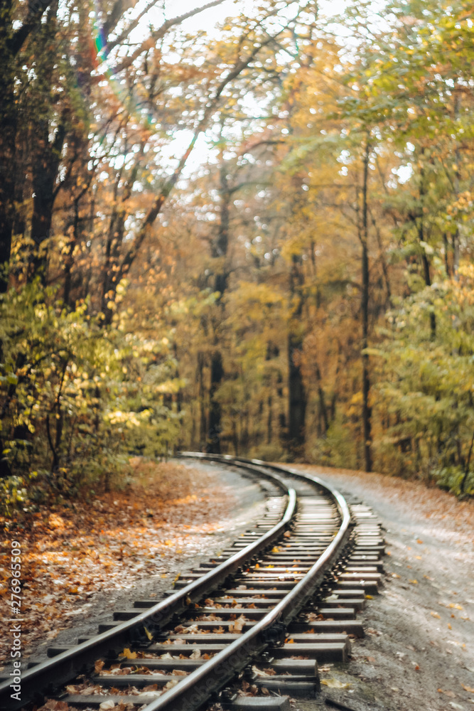 Autumn forest with golden, orange trees and fallen leaves by rail. Blurred background, soft focus Autumn forest with golden, orange trees and fallen leaves by rail. Blurred background, soft focus