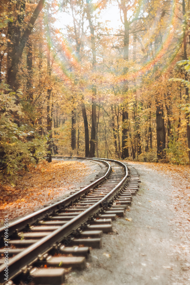 Autumn forest with golden, orange trees and fallen leaves by rail. Blurred background, soft focus