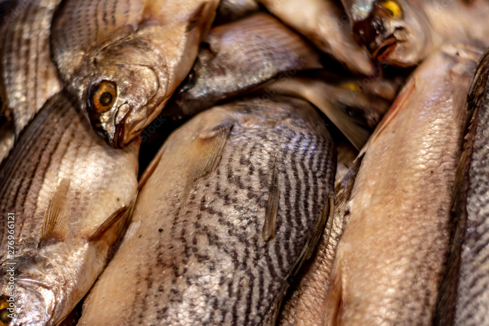 Fresh fish in the market. Approach of scales and skin of fish from the sea. Proteins from the sea. Fresh fish in the market. Approach of scales and skin of fish from the sea. Proteins from the sea.