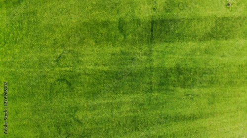 Aerial. Green grass texture background. Top view from drone.