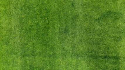 Aerial. Green grass texture background. Top view from drone.