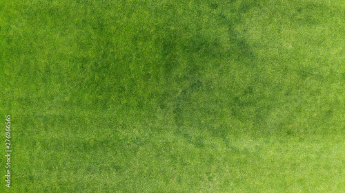 Aerial. Green grass texture background. Top view from drone. © Dmytro