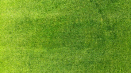 Aerial. Green grass texture background. Top view from drone.