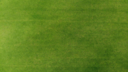 Aerial. Green grass texture background. Top view from drone.