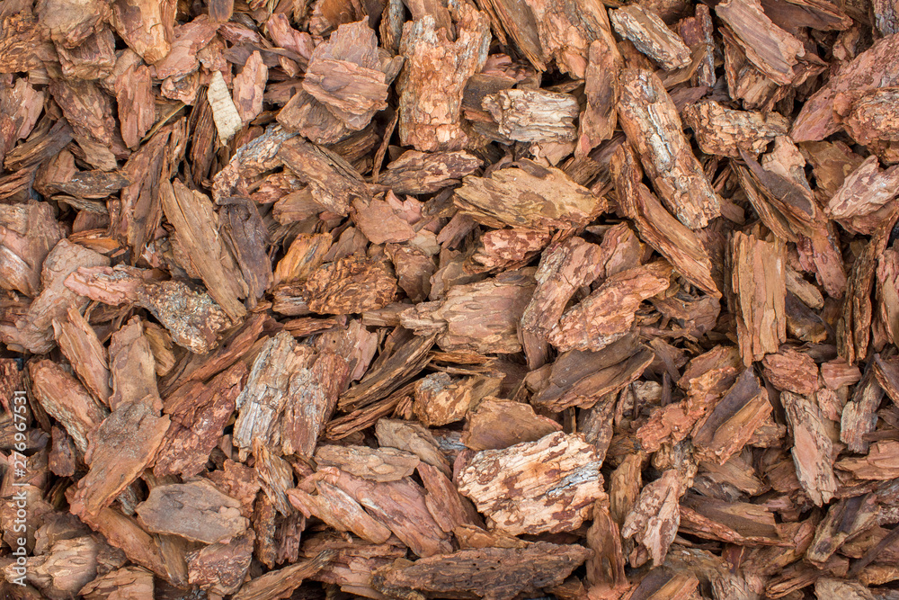 gray red slivers of tree bark close up top view. natural surface texture