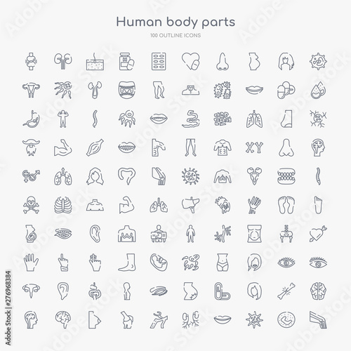 100 human body parts outline icons set such as ball of the knee, big cellule, big lips, blood supply system, blood vessel, bones joint, bosom, brain body organ
