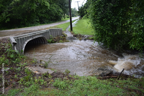 Rain Water