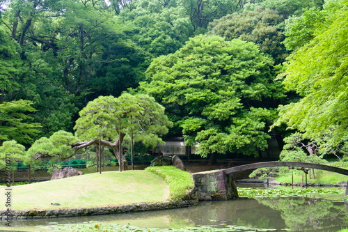 Obraz na płótnie japanese garden in spring w salonie