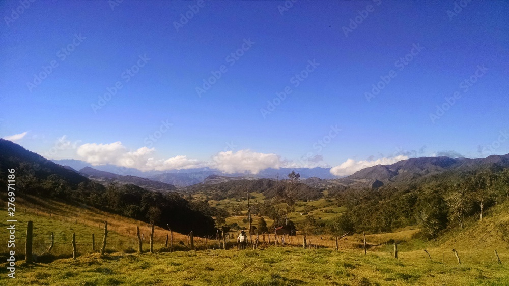 Fototapeta premium cielo azul