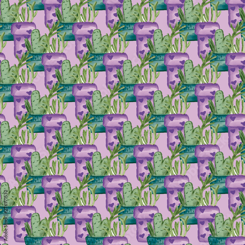 023-SUCULENTS C02-02