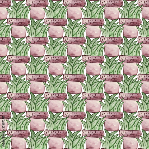 023-SUCULENTS C04-06