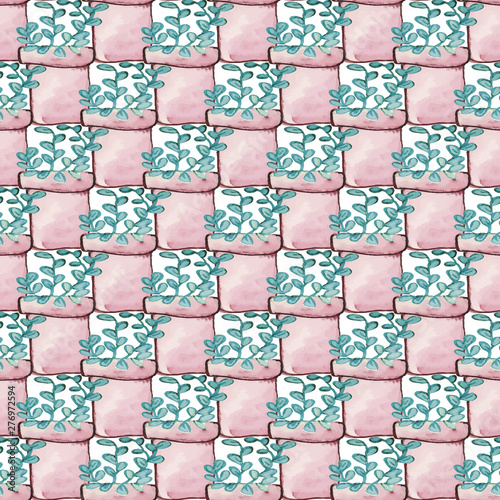023-SUCULENTS C04-08