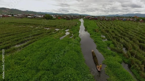 Wide high-angle push in crane down dolly shot above a water channel of a farmer transporting weeds in his boat, floating lush green gardens,  and stilt houses in Nampan Village, Inle Lake, Myanmar photo