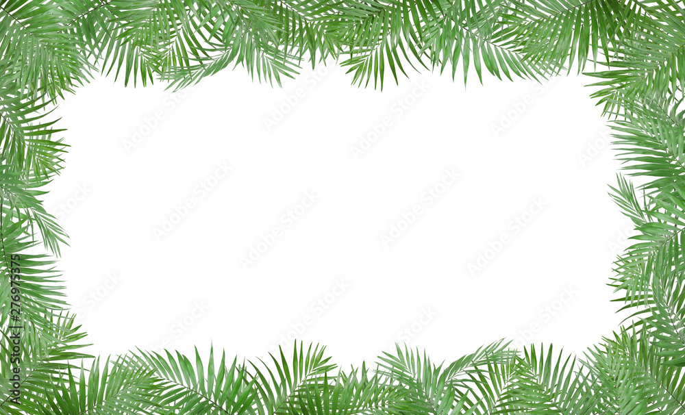 Frame made of fresh green tropical leaves on white background. Space for design
