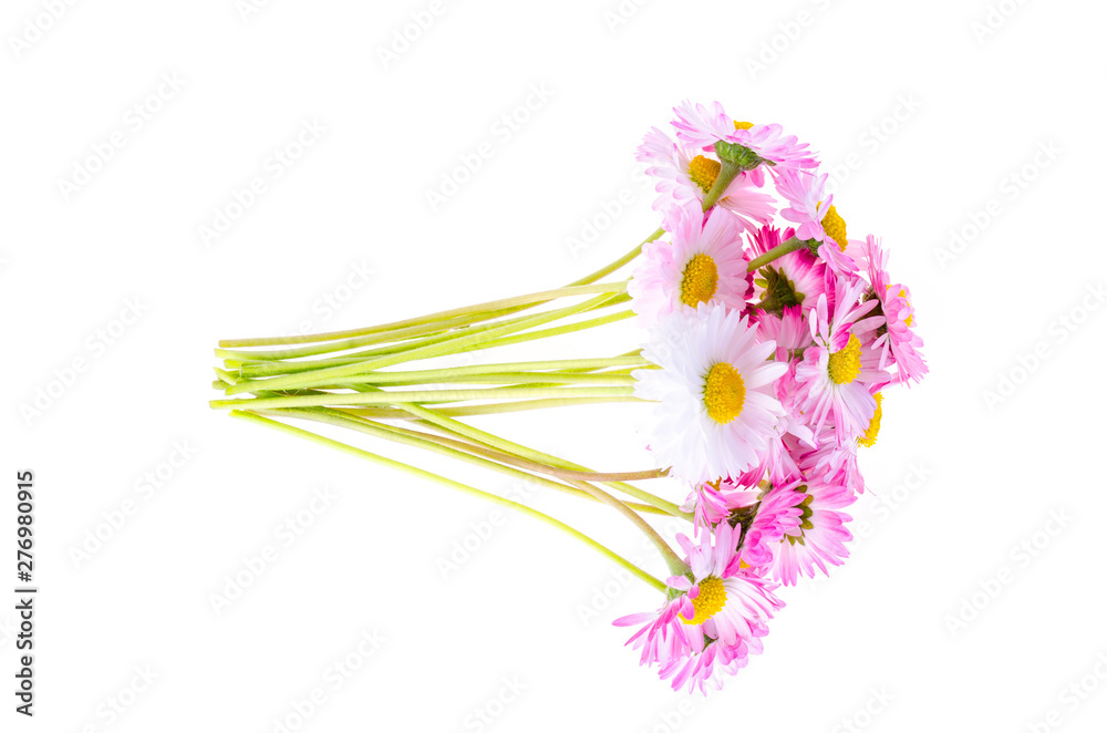 Obraz premium colorful Small bouquet of tender daisies. Photo