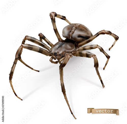 Spider vectorized image. 3d realistic vector icon