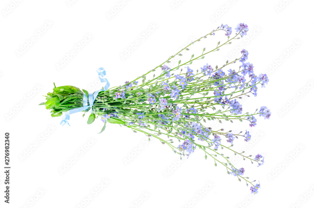Fototapeta premium Small bouquet of blue garden flowers. Photo