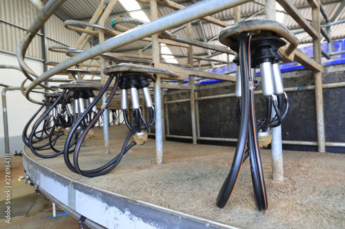 Cleaned, fresh and ready for the next milk session