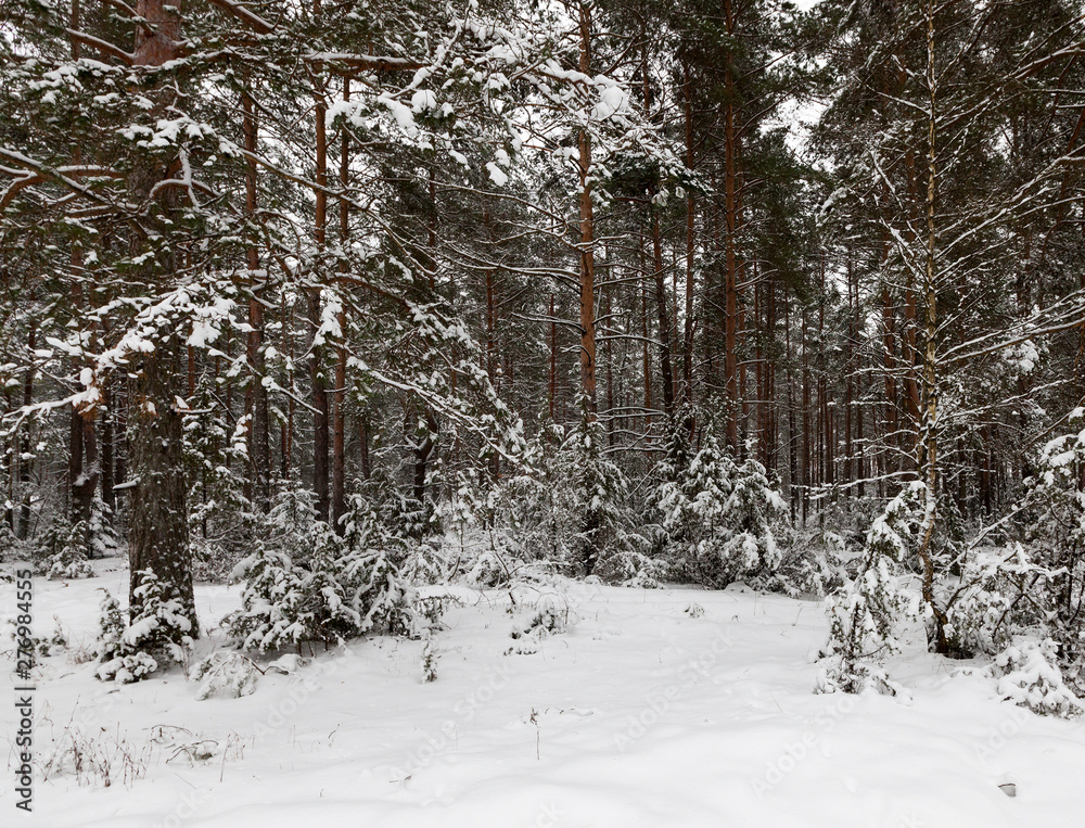 Fototapeta premium Snow drifts in winter