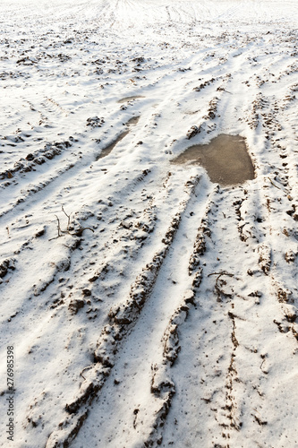 field with snow  the track