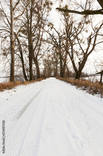 Rural winter road