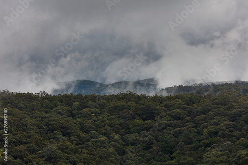 A severe weather mass of clouds over a gully filled with gum trees