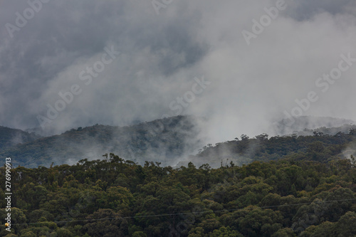 A severe weather mass of clouds over a gully filled with gum trees © Phillip