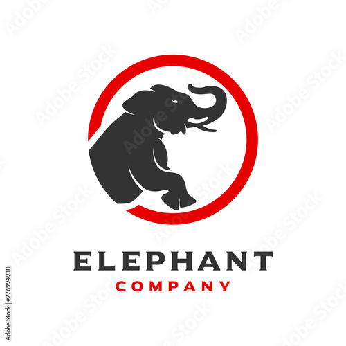 elephant logo design template