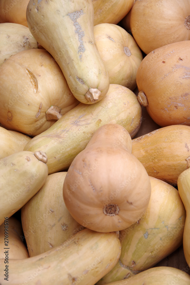 Close up full frame view of butternut squash displayed for sale at a market stand Close up full frame view of butternut squash displayed for sale at a market stand