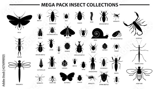 set of various insect in silhouette, with insect name. easy to modify