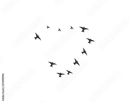 Bird Logo Template vector illustration © amin