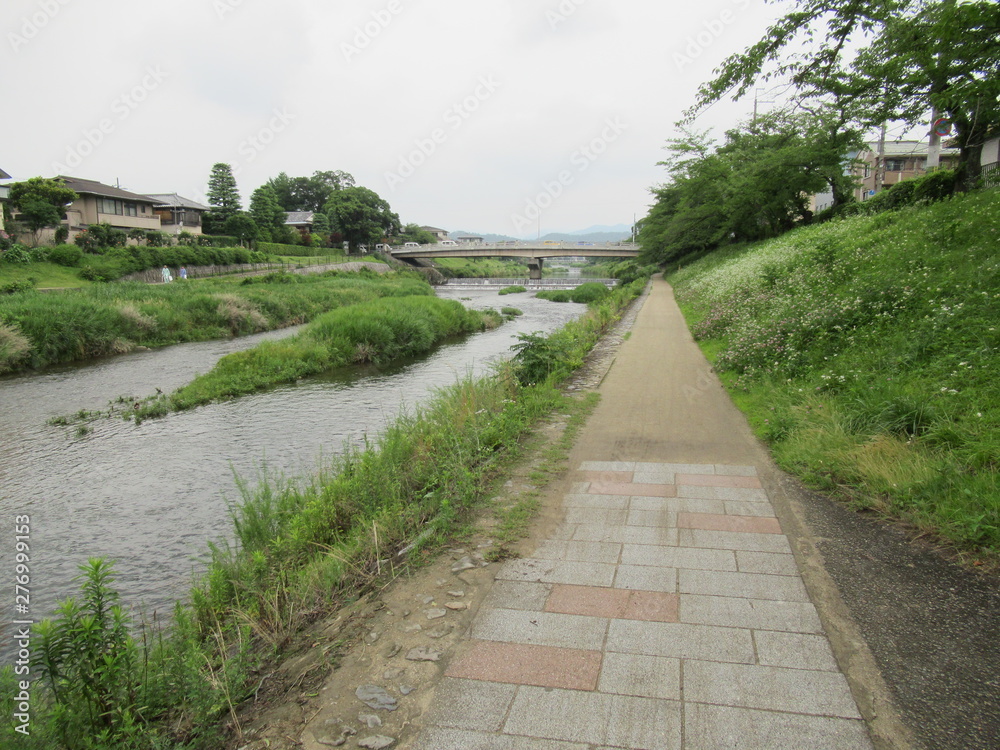 梅雨の合間の昼下がり、古都京都を流れる高野川