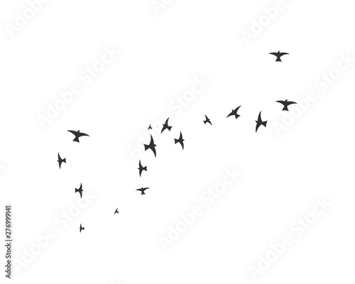 Bird Logo Template vector illustration © amin