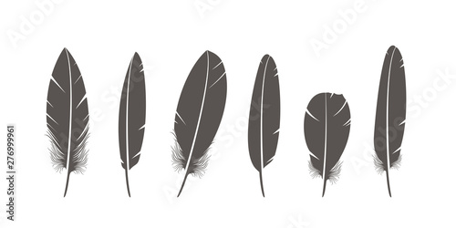Feathers logo. Isolated feathers on white background © oleg7799