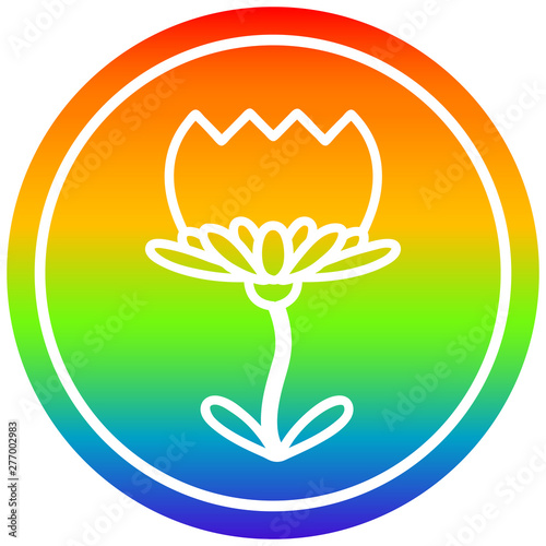 lotus flower circular in rainbow spectrum