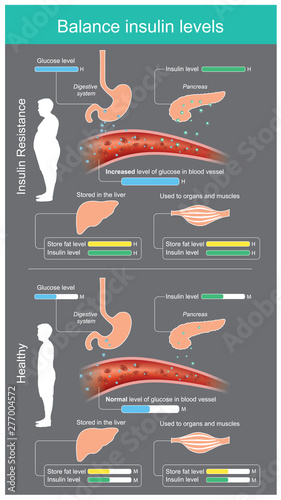 Insulin, glucose, brain, diabetes, sugar, blood, health, pancreas, medicine, medical, care, cell, disease, diabetic, hypoglycaemia, metabolism, human, hormone, glycogen, diagram, pump, illness, anatom photo