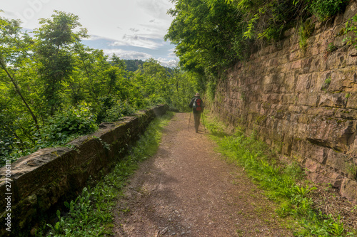 Hike along the long-distance hiking trail Neckarsteig in Germany photo