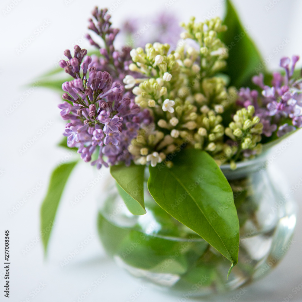 Fototapeta premium Blooming lilac in a small vase