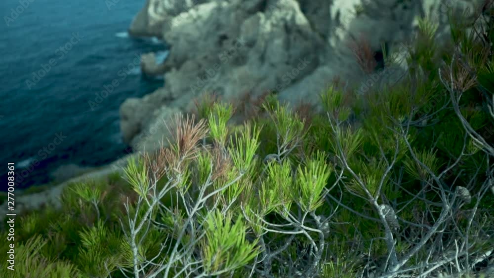 Palma de Mallorca, Majorca, Spain, cliffs, high-up view, flora, many trees and plants, turquoise, blue sea, waves crashing, coastline, shore, Espanol Palma de Mallorca, Majorca, Spain, cliffs, high-up view, flora, many trees and plants, turquoise, blue sea, waves crashing, coastline, shore, Espanol