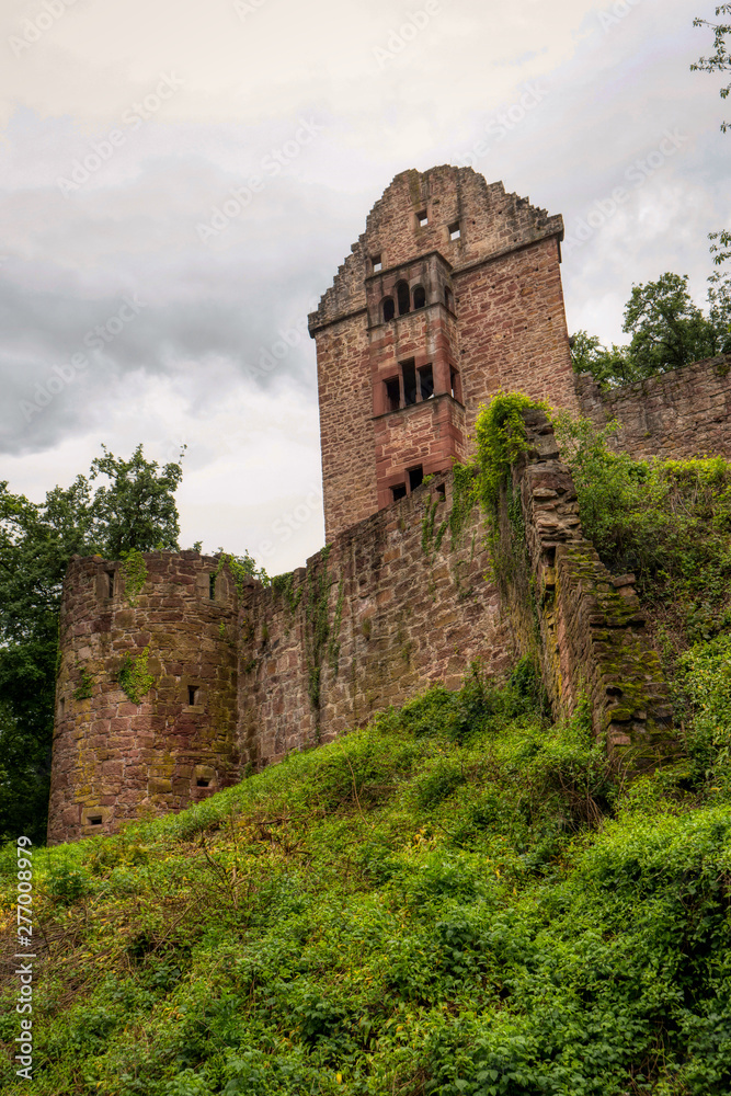 Castle ruin Minneburg along the long-distance hiking trail Neckarsteig in Germany