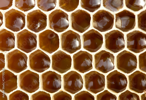 In honeycombs is nectar and honey