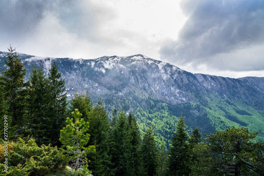 Montenegro, Snow covered peaks of tara river canyon mountains covered by green trees with rain clouds above tree tops of curevac mountain in durmitor national park near zabljak