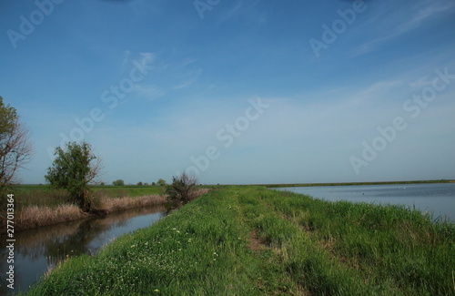 landscape with river and blue sky