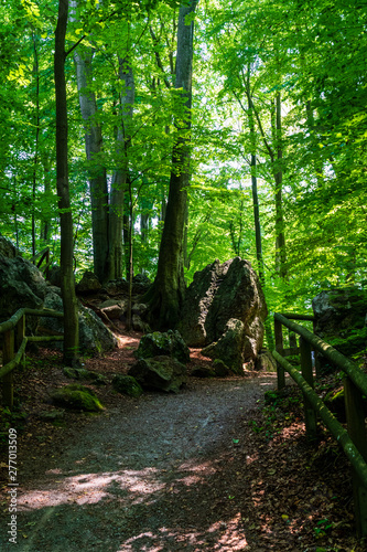 hiking trail at felsenmeer in Hema  Germany