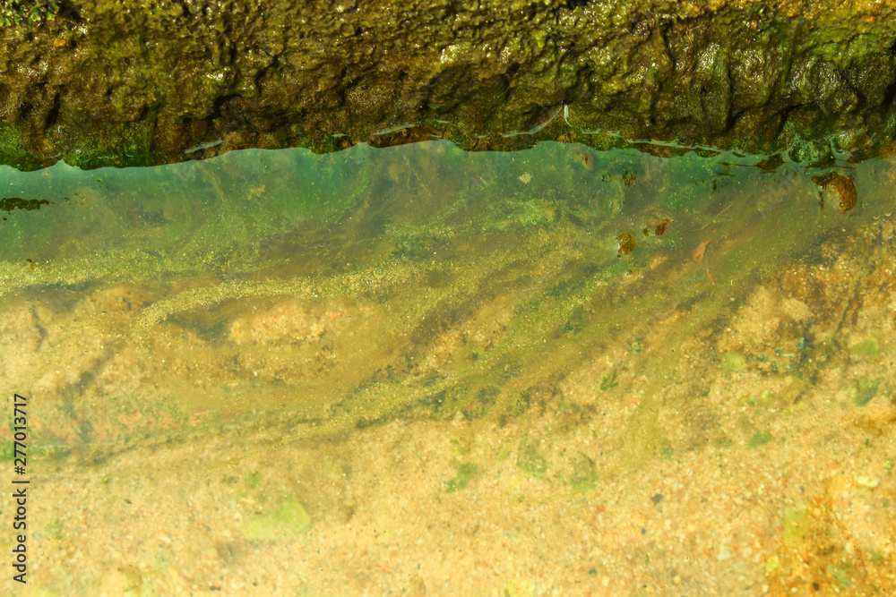 Naklejka premium Water river landscape view with green moss background